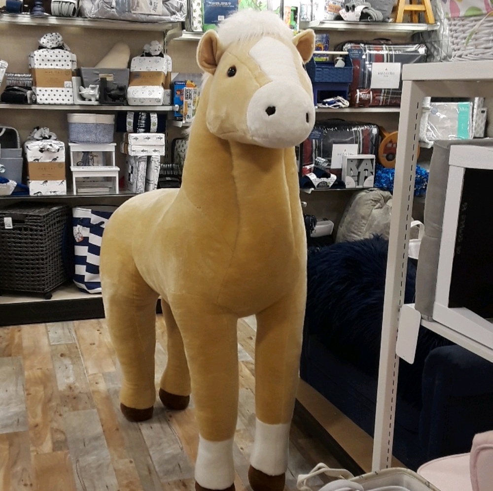 Meet your Posher, Brittany & family